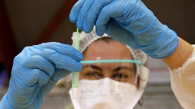 Andalucía suma 737 contagios Covid en un solo día pero no registra muertos