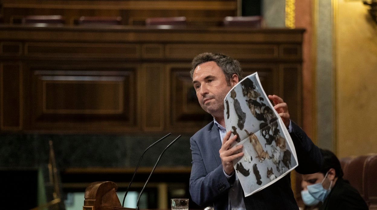 Guillermo Díaz, en una de sus intervenciones en el Congreso