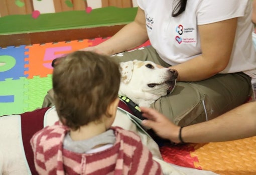 Niebla en la sala de extracción de sangre en el Hospital Universitario Virgen de las NIeves