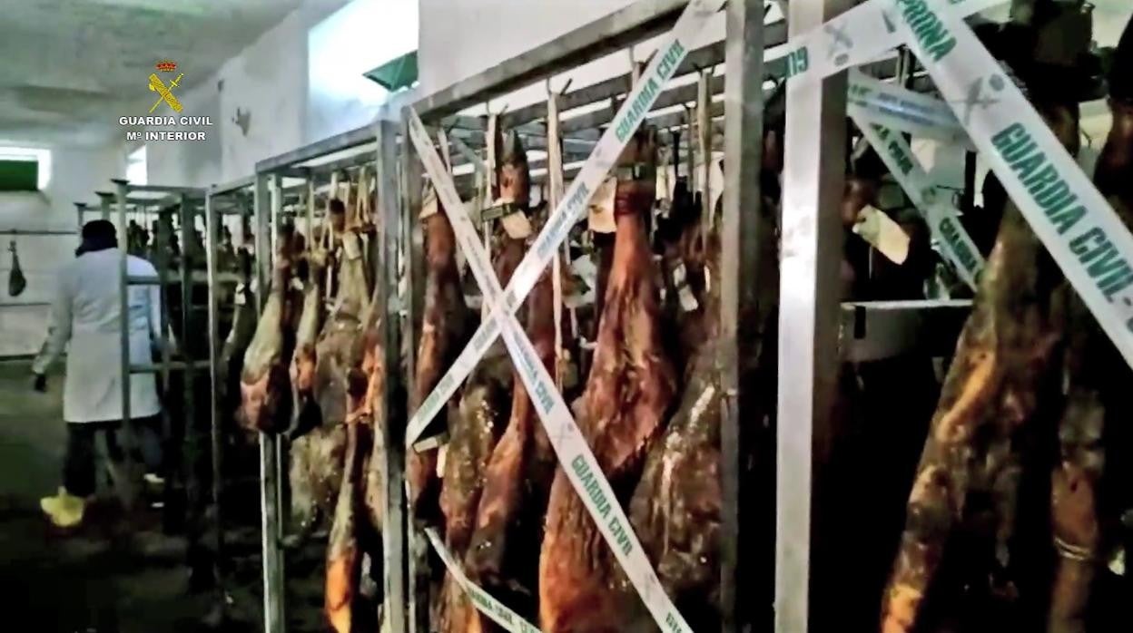 La Guardia Civil inspecciona las ristras de jamón incautadas
