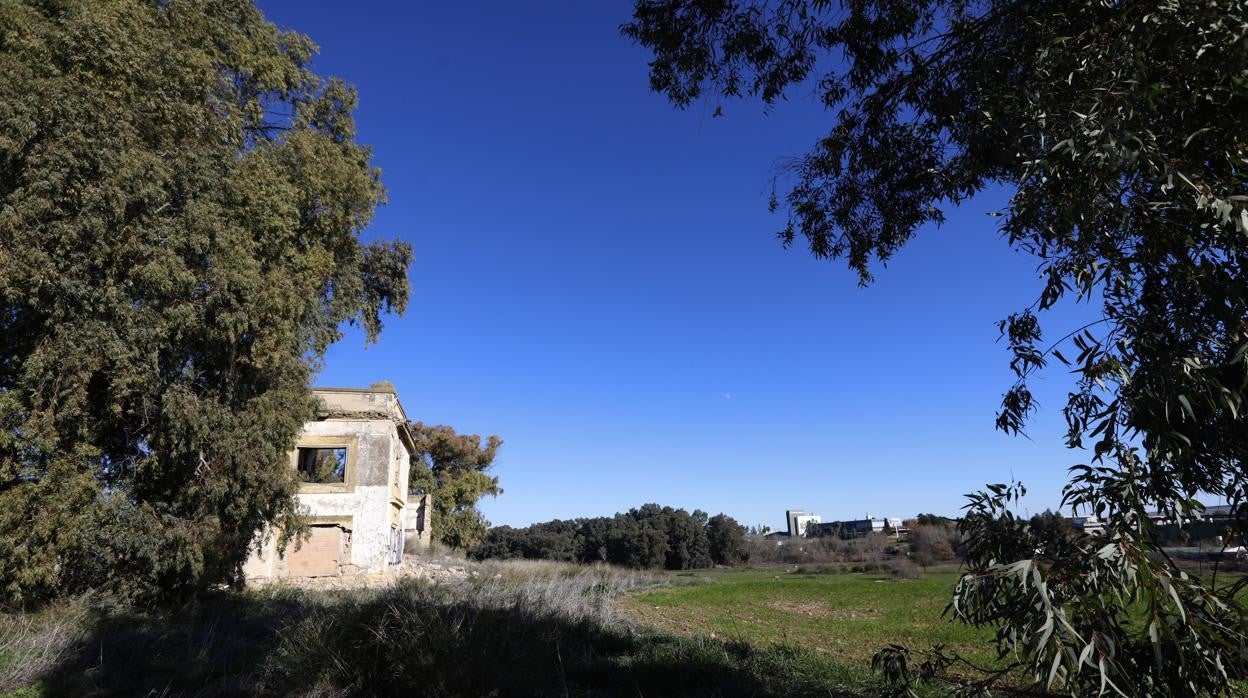 Parte de los suelos reservados para la fallida Ciudad de Levante