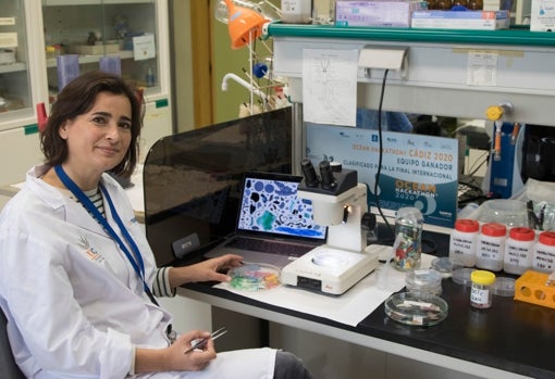 Carmen Morales en su despacho de la Universidad de Cádiz