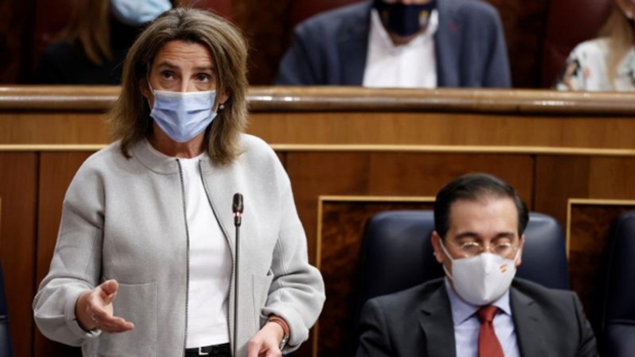 La vicepresidente tercera y ministra para la Transición Ecológica durante su intervención en el Congreso