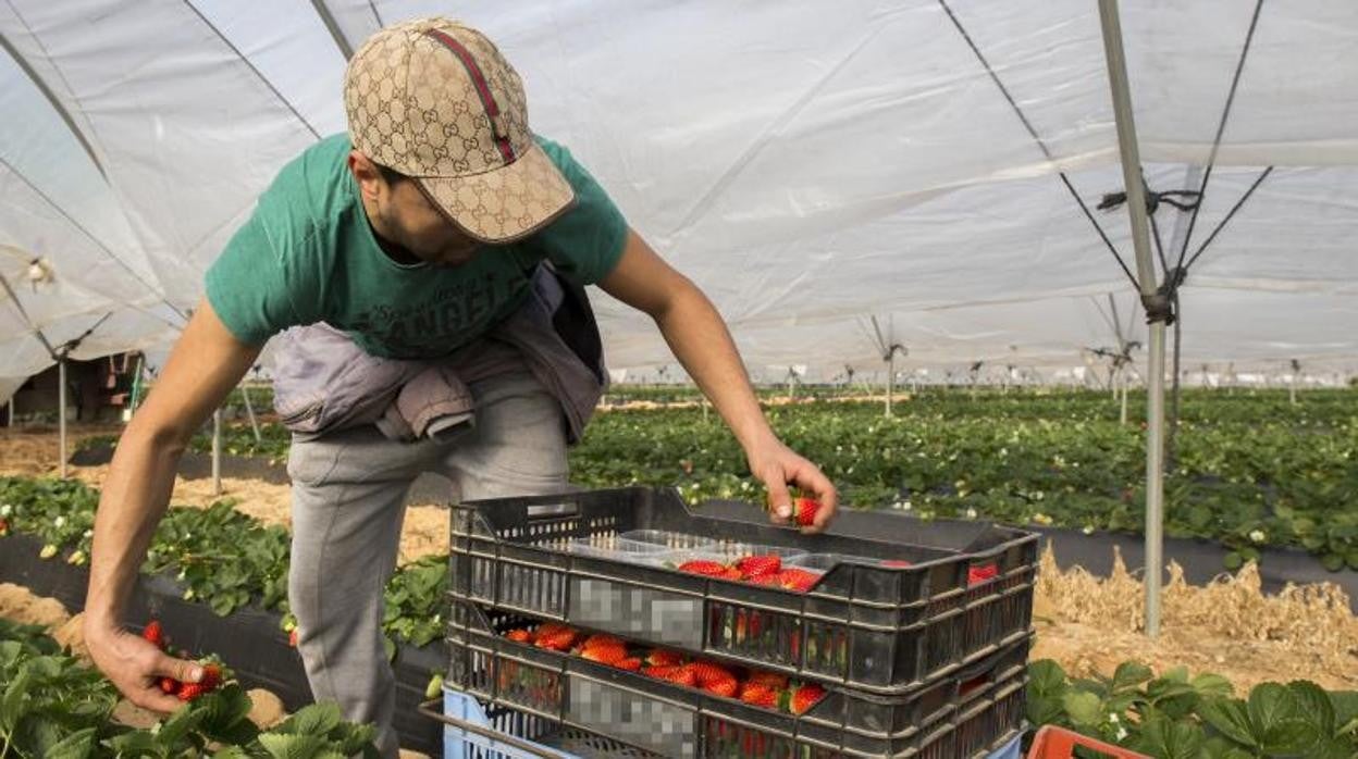 Las ayudas se dieron para crear nuevas empresas por parte jóvenes agricultores