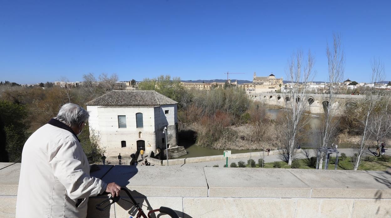 Vista de los Sotos de la Albolafia junto al Molino de San Antonio