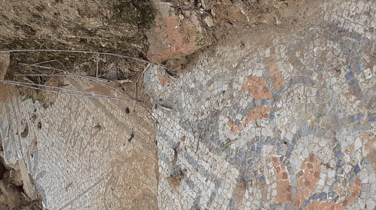Fragmento del mosaico encontrado en Adamuz
