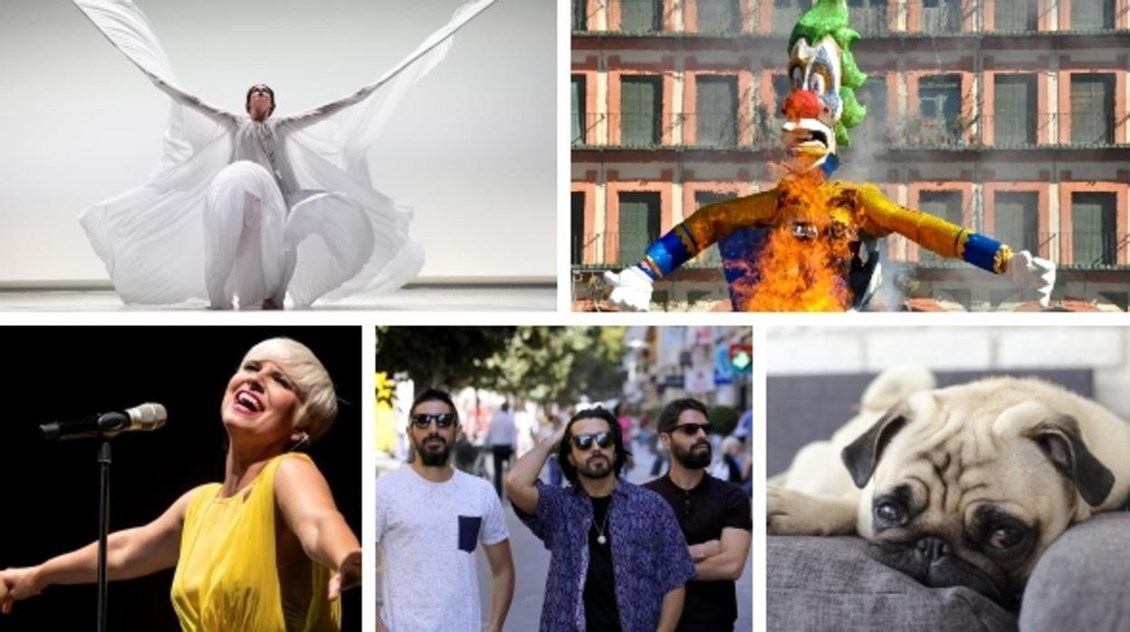 Estos son los mejores planes del fin de semana en Córdoba: Carnaval, Pasión Vega, teatro y mucho más