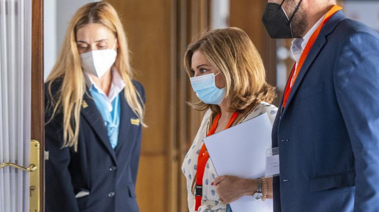 Carmen Ibanco, en la comisión de investigación de la Faffe en 2021