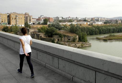 Imagen del Cordel de Écija, una de las grandes zonas de planeamiento no desarrolladas aún