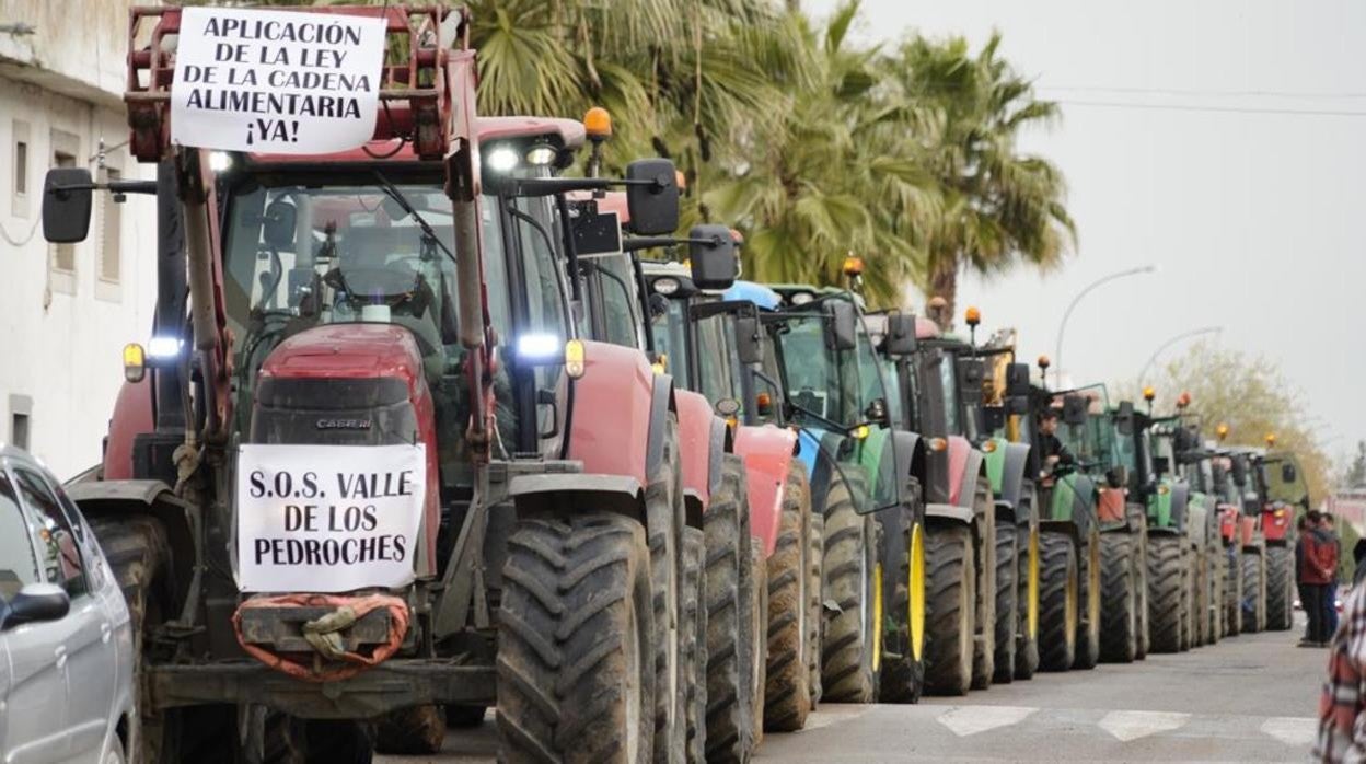 Fila de tractores a su llegada a Pozoblanco este mediodía en la protesta organizada en Los Pedroches