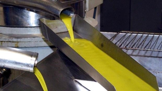 Aceite de oliva | Las almazaras de Córdoba ven en las ventas de abril la clave para la evolución de los precios