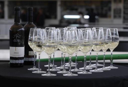 Todo lo que necesitas saber sobre la Cata del Vino de Córdoba 2022