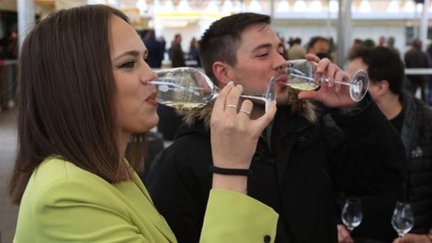 Cata del Vino de Córdoba 2022 | Estas son algunas de las novedades de las bodegas que se pueden degustar