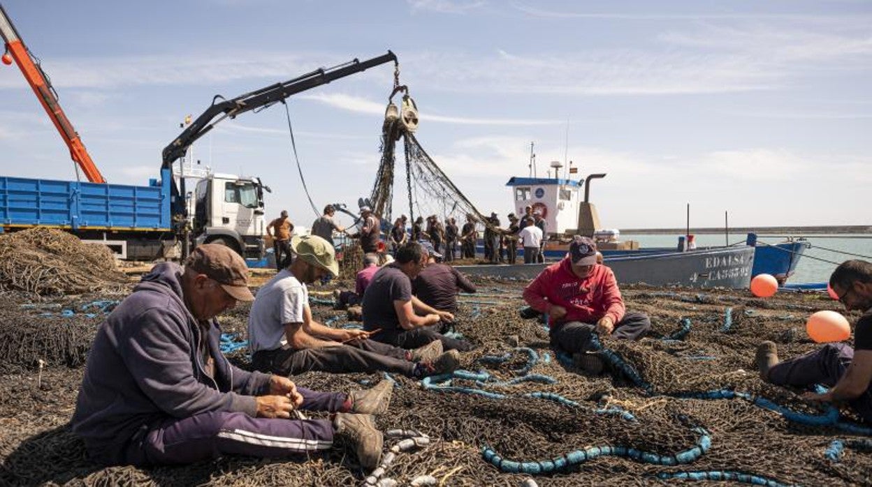 Los almadraberos dan las últimas puntadas al copo, donde los atunes serán izados para después ronquearlos