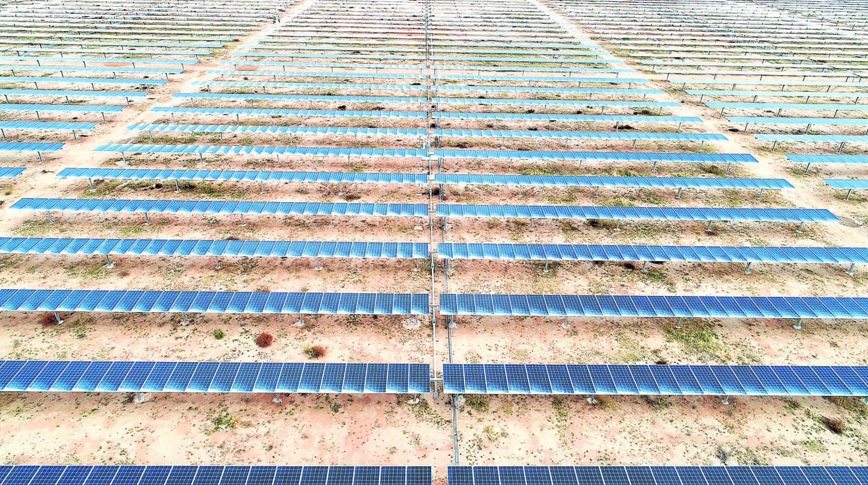 Hileras de placas fotovoltaicas en una gran planta de Andalucía