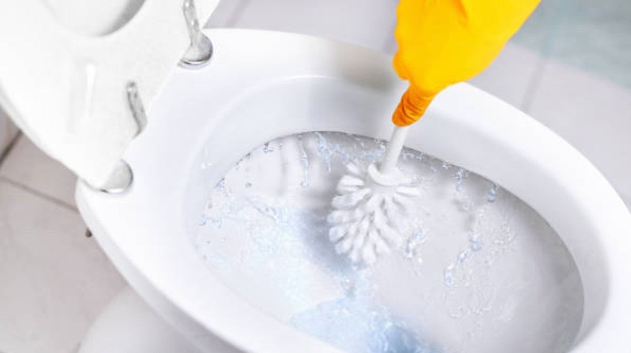 El baño es una de las partes de la casa que siempre queremos que esté limpia