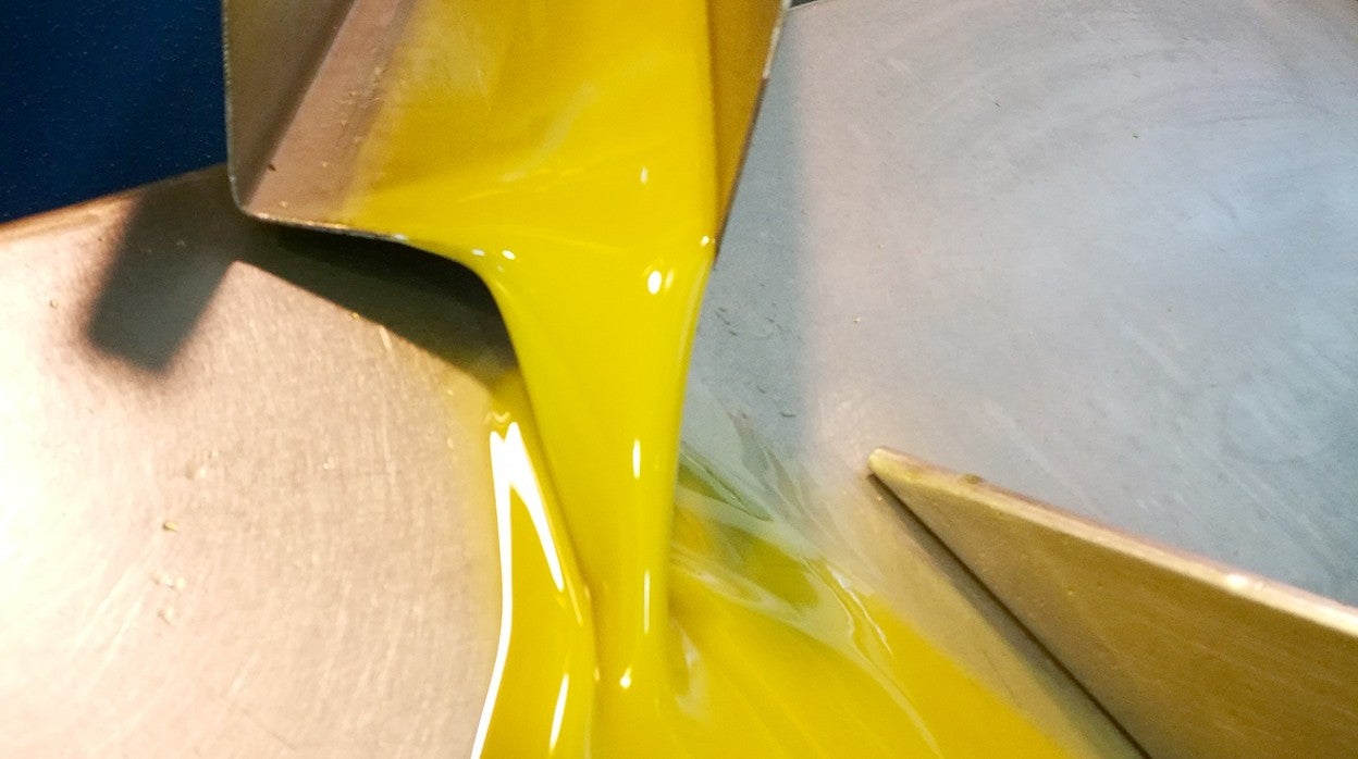 Aceite producido en un cooperativa de Jaén