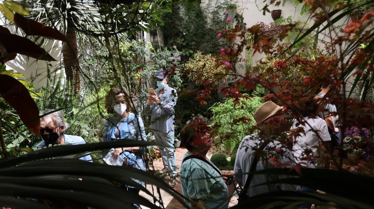 Visitantes al patio de Alvar Rodríguez, 8