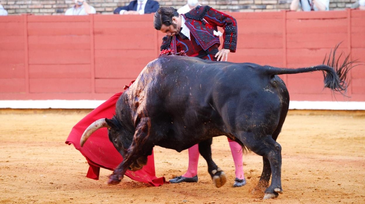 Morante de la Puebla, durante su mano a mano con Finito en mayo del año pasado en Córdoba