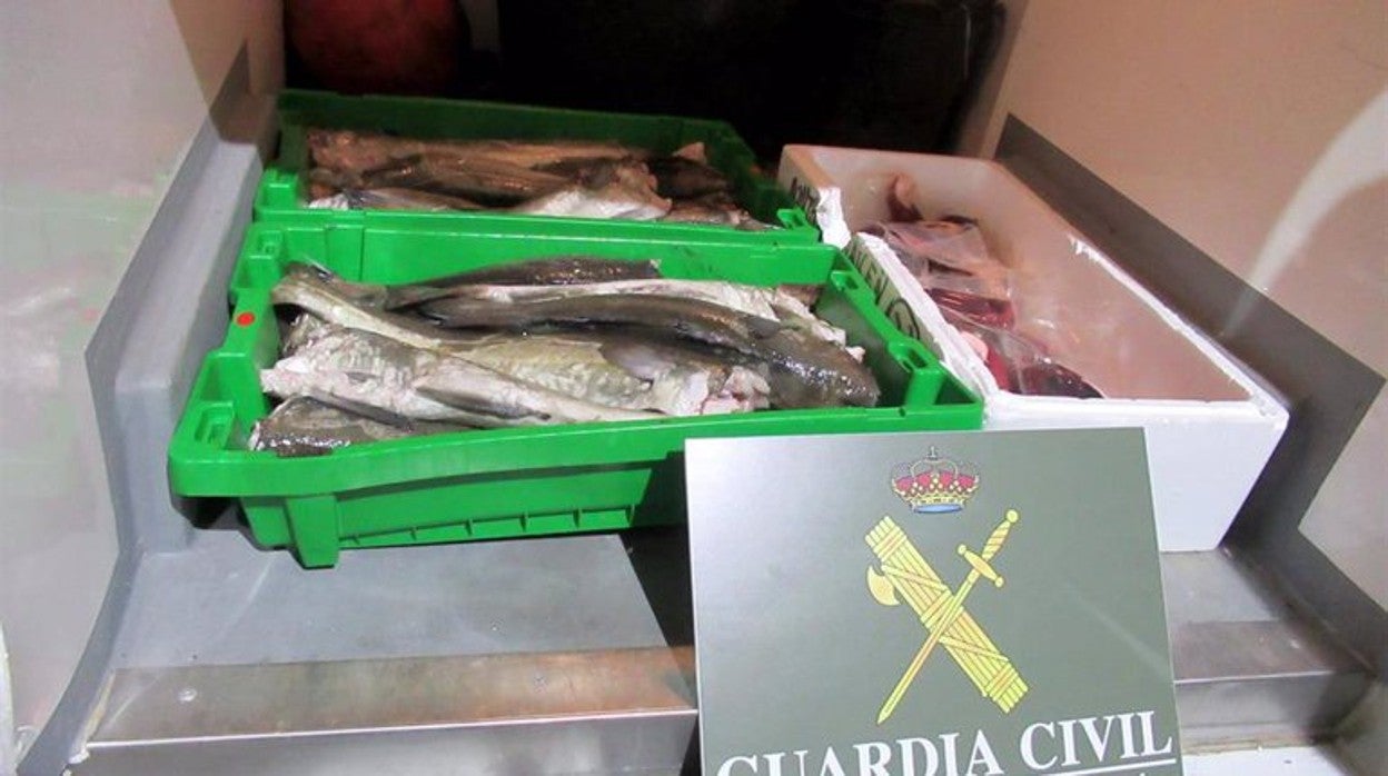 Imagen del pescado intervenido por la Guardia Civil