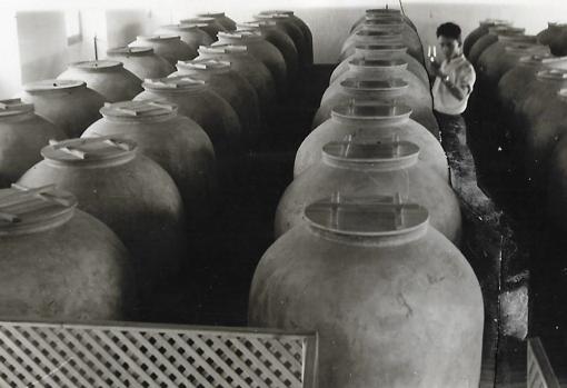 Antonio Sánchez, en los conos del bodega