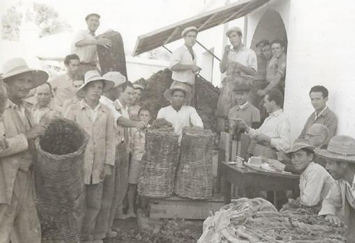 Trabajos en la bodega