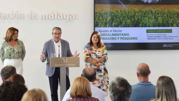 La Diputación de Málaga dará hasta 6.000 euros por empresa agroalimentaria para combatir la inflación