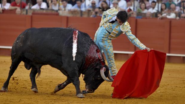 Roca Rey toreando al natural en Sevilla