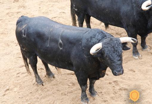 Primero del lote de Pablo Aguado