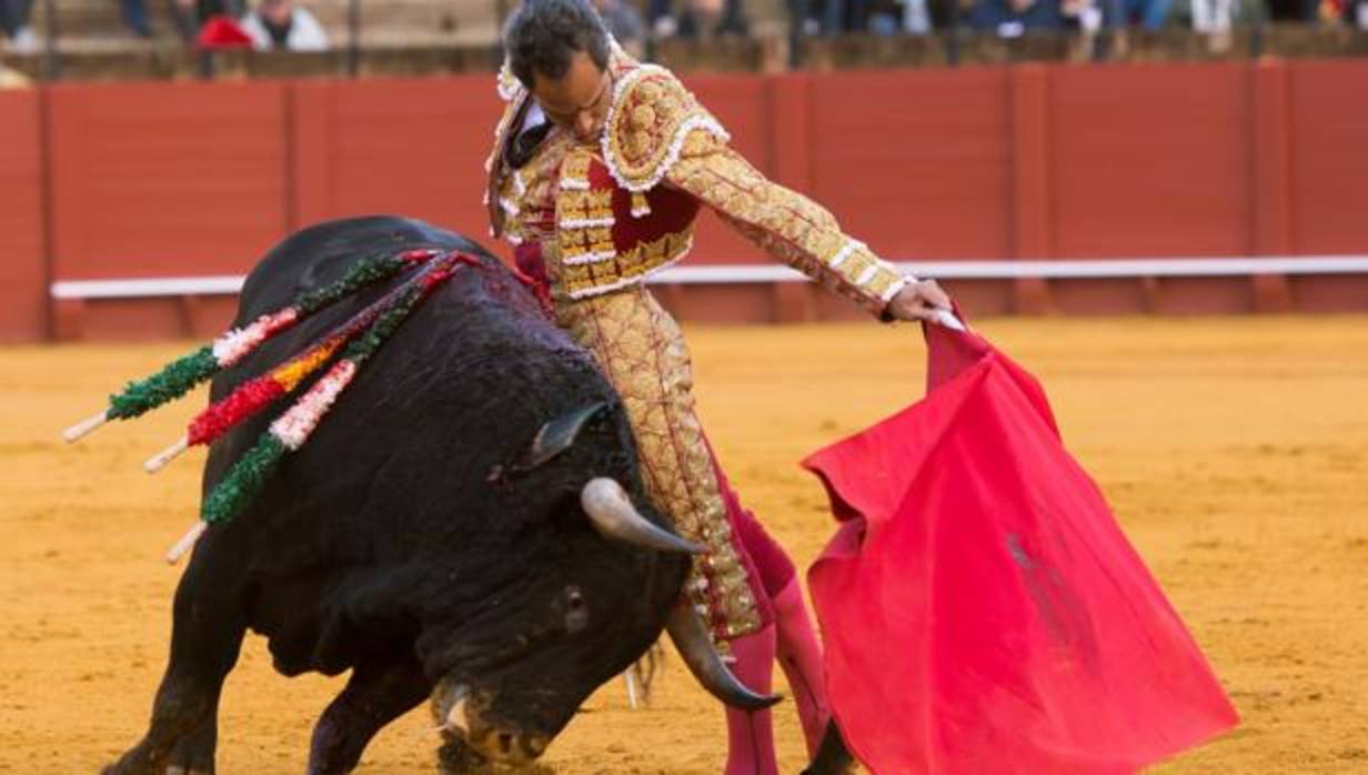 El matador colombiano Luis Bolívar, da un pase a su de muleta a su segundo enemigo de la tarde