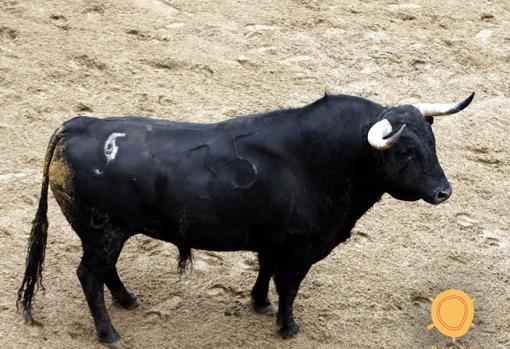 Seis toros de Matilla para la primera corrida de relumbrón de la Feria de Abril de Sevilla 2018