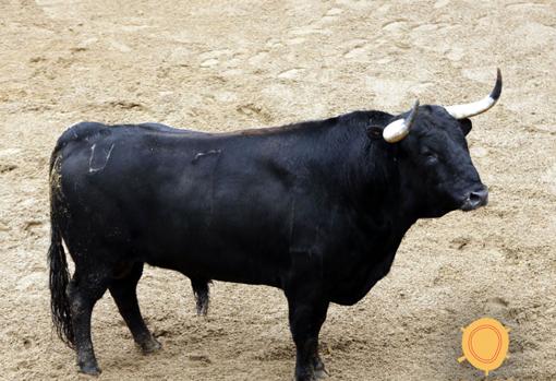 Seis toros de Matilla para la primera corrida de relumbrón de la Feria de Abril de Sevilla 2018