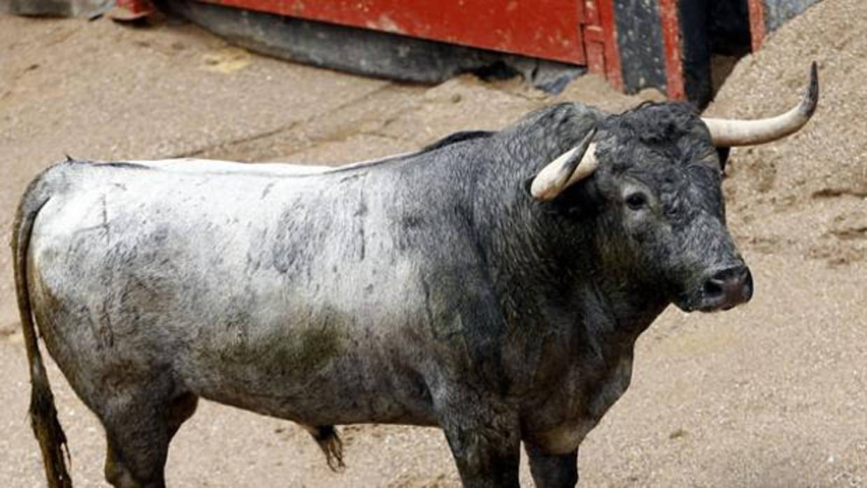 Primer toro de la tarde para Antonio Ferrera