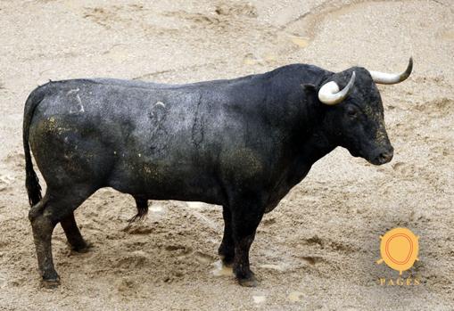 Seis toros de Victorino para Antonio Ferrera, Manuel Escribano y Daniel Luque