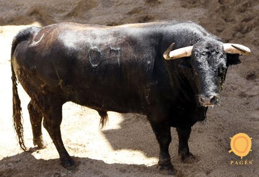 Feria de Abril de Sevilla 2018: Toros de Jandilla para Ferrera, «El Juli» y Roca Rey