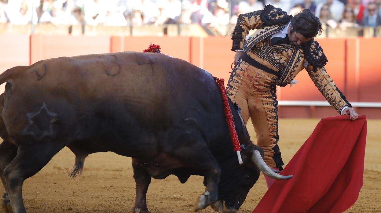 Morante de la Puebla en la plaza de toros de la Real Maestranza
