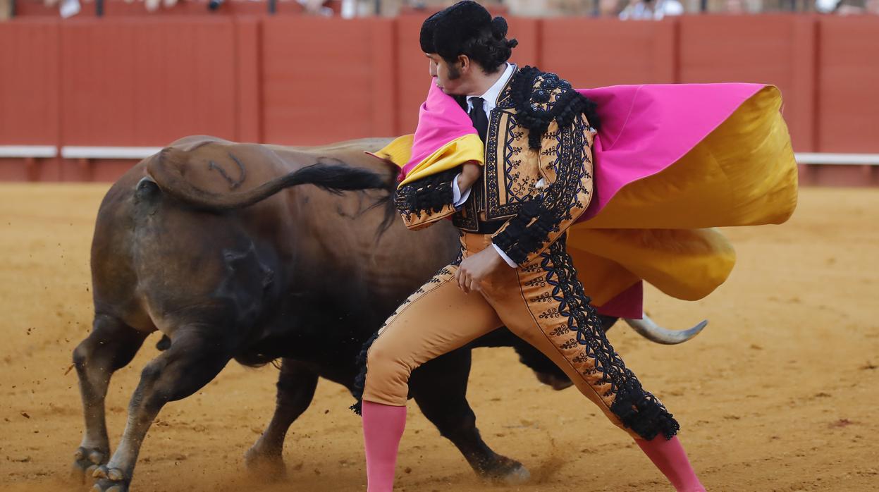 Morante de la Puebla rematando genuflexo con un recorte a una mano el 10 de mayo de 2019