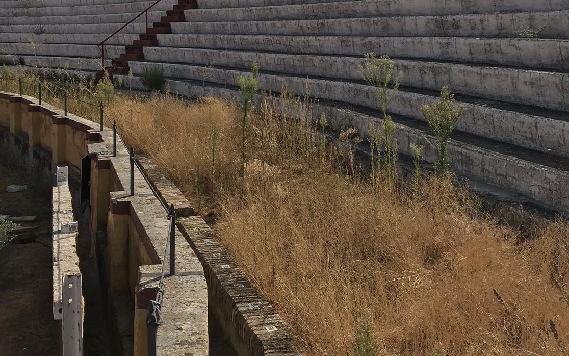 El coso de Pinichi evidencia la desidia municipal en cuanto a tauromaquia