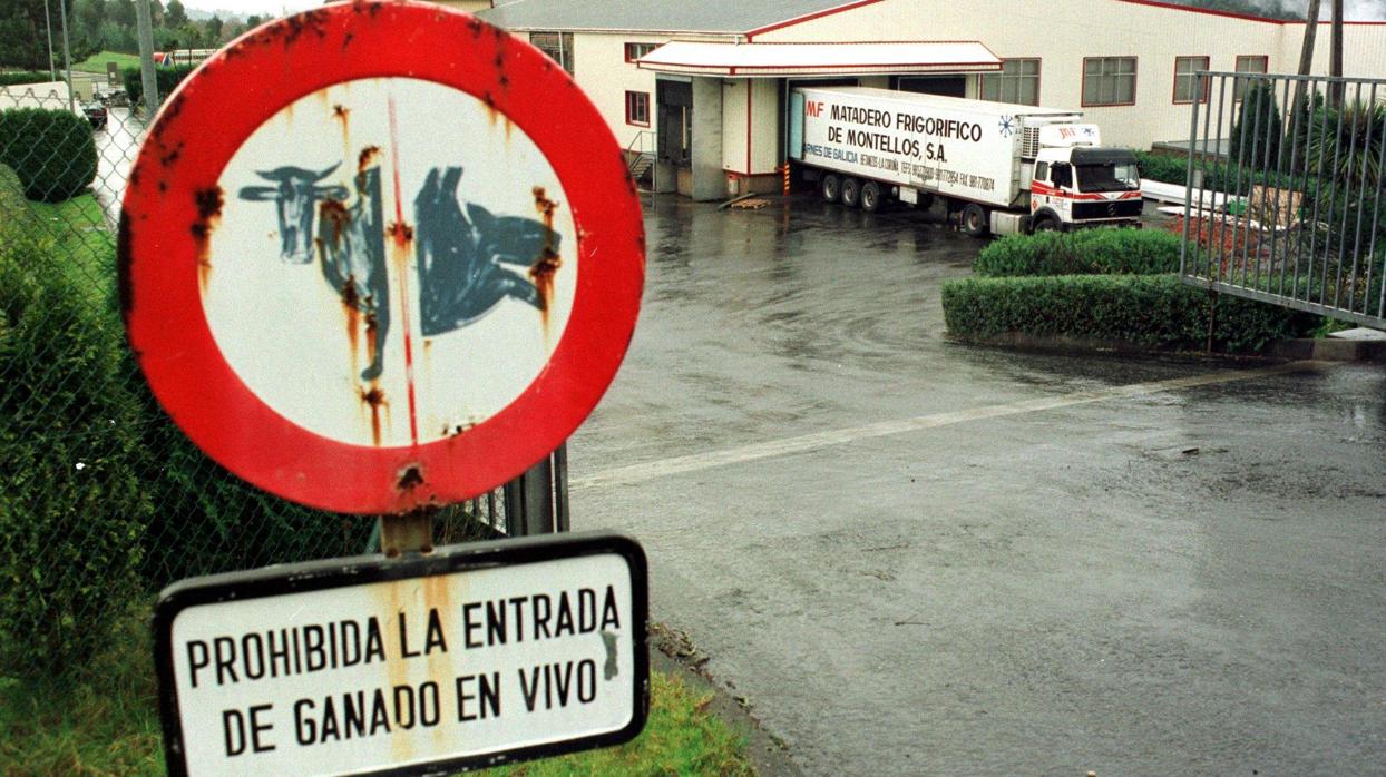 Hace justo 20 años se declaraban los primeros casos de Encefalopatía Espongiforme Bovina (EEB) en Galicia