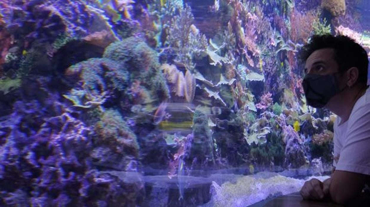 Una imagen del Acuario de Sevilla, donde es obligatorio el uso de la mascarilla en prevención del Covid-19