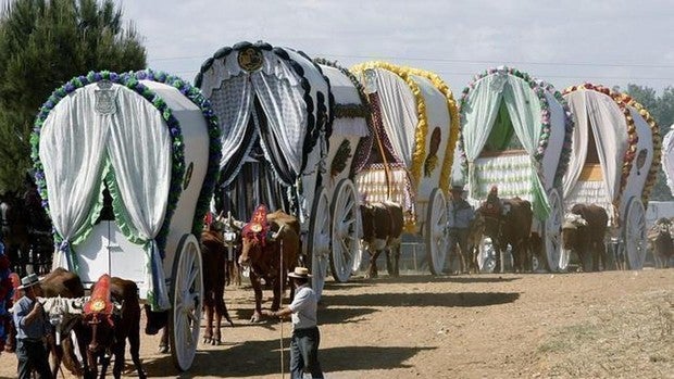 El camino al Rocío en más de cien sevillanas