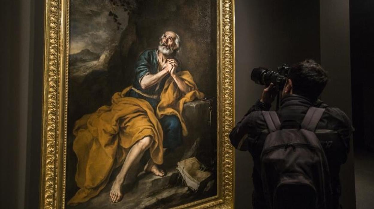 Imagen del 'San Pedro penitente' cuando llegó a Sevilla en febrero de 2016 tras su restauración en el Prado