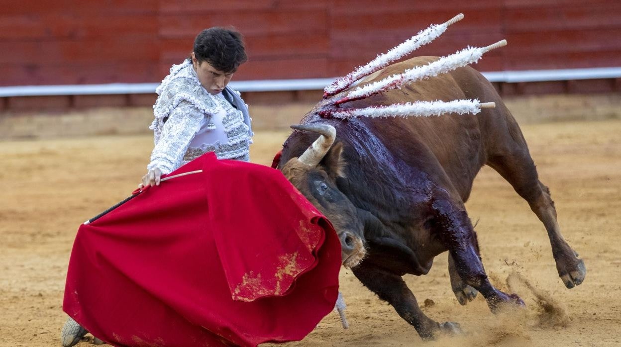 Roca Rey puso a la plaza en pie tras un vibrante inicio de faena en los medios y de rodillas