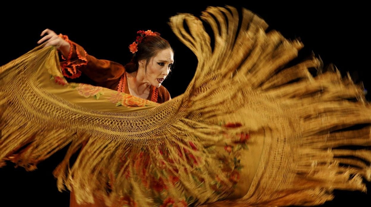 Una bailaora en plena actuación