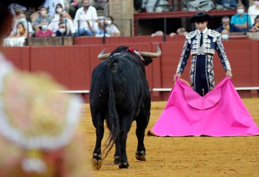 Antonio Chacón toreará en 2022 en la cuadrilla de Andrés Roca Rey