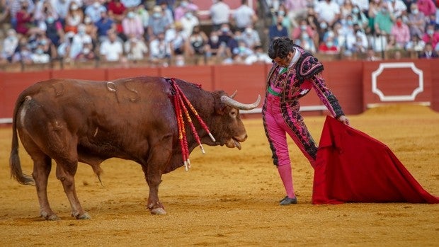 Sevilla estuvo en 2021 a la vanguardia del toreo: San Miguel, Morante, Juan Ortega, Juan Pedro Domecq...