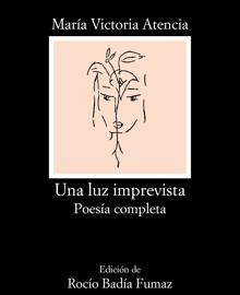 Portada de 'Una luz imprevista'