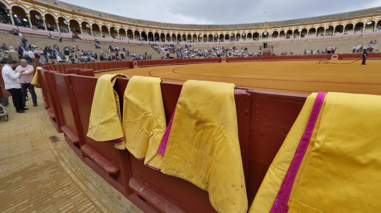 Plaza de toros de la Real Maestranza de Sevilla