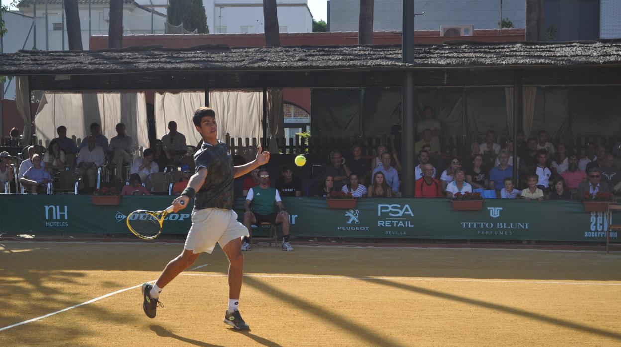 Carlos Alcaraz, durante su partido de octavos de final de la Copa Sevilla