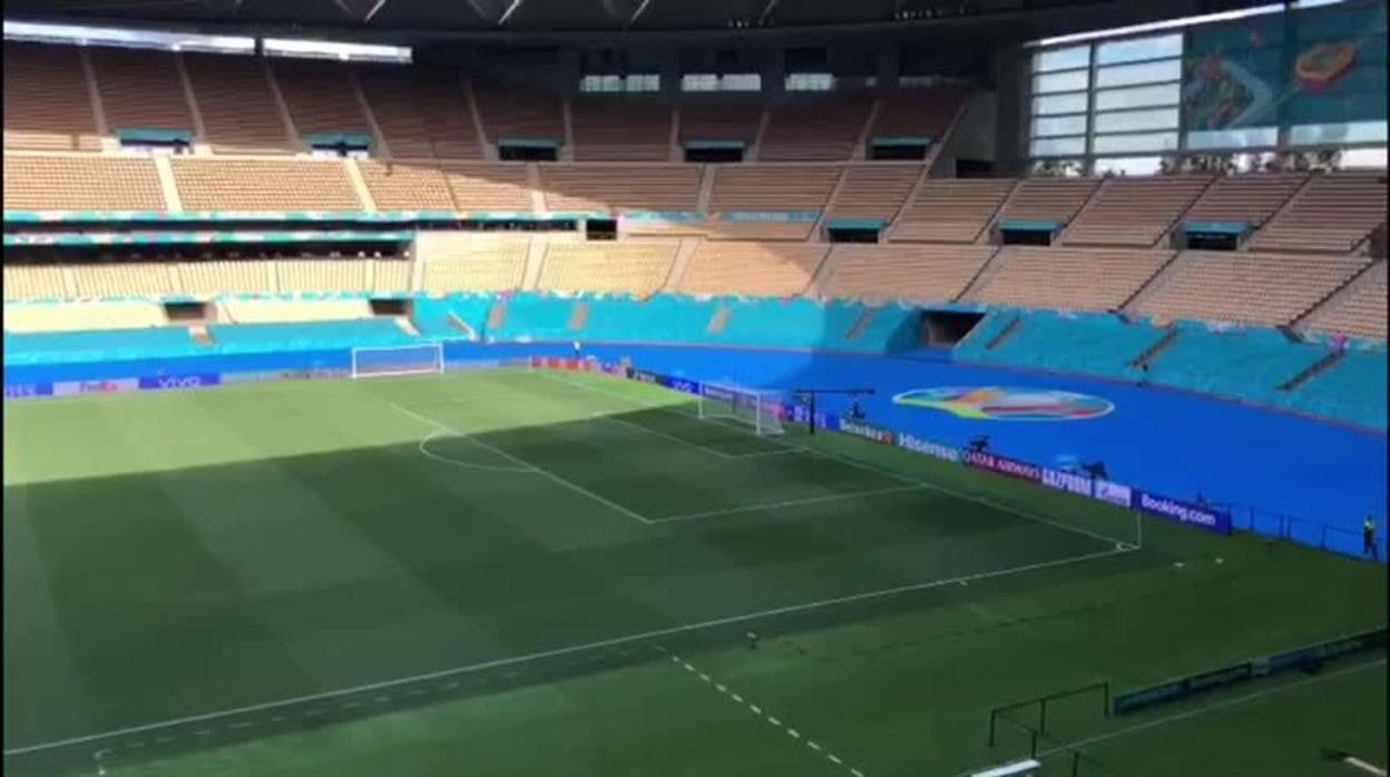 Así está el césped de la Cartuja a 24 horas del España-Polonia